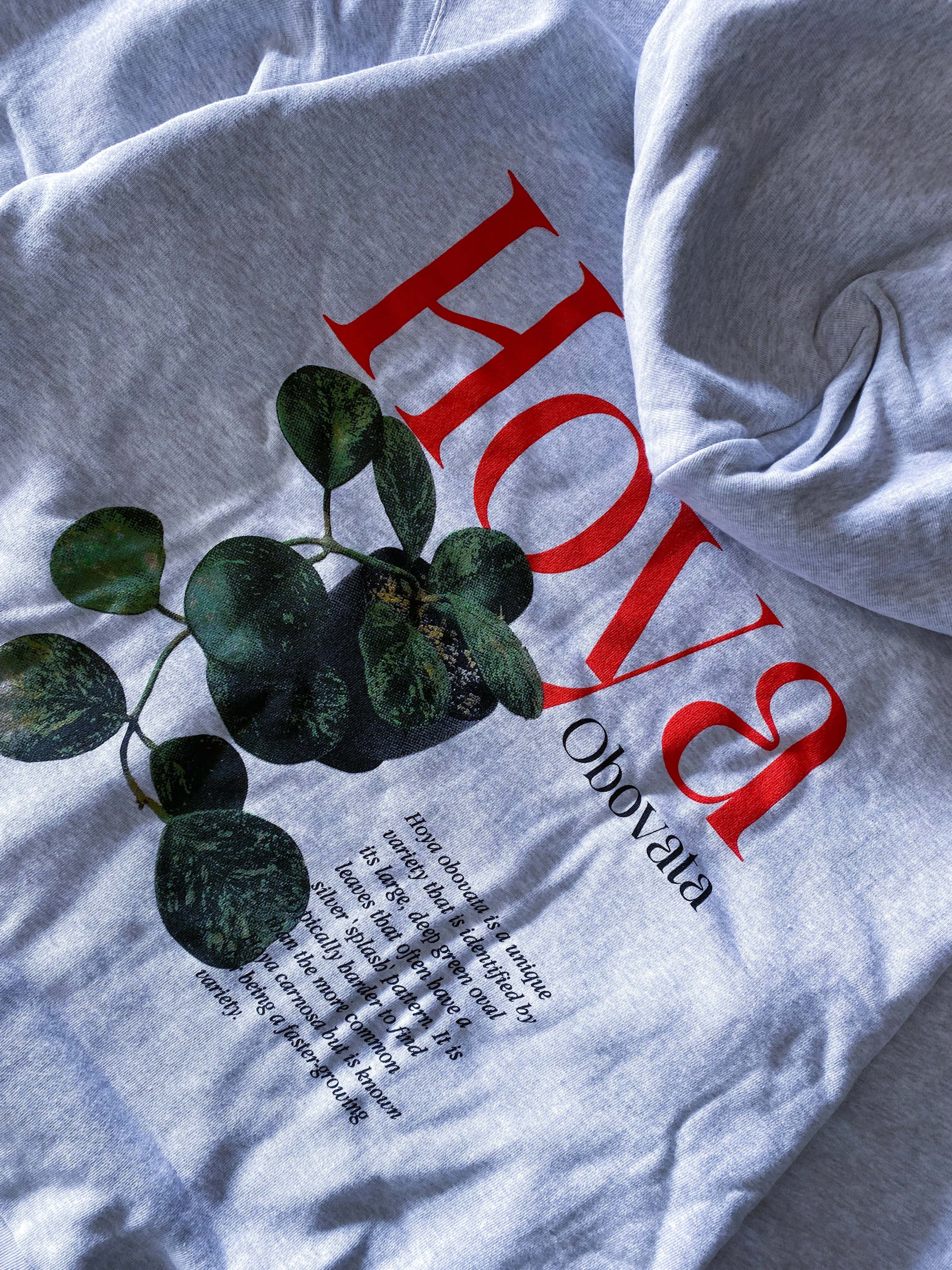 Hoya Obovata Hoodie