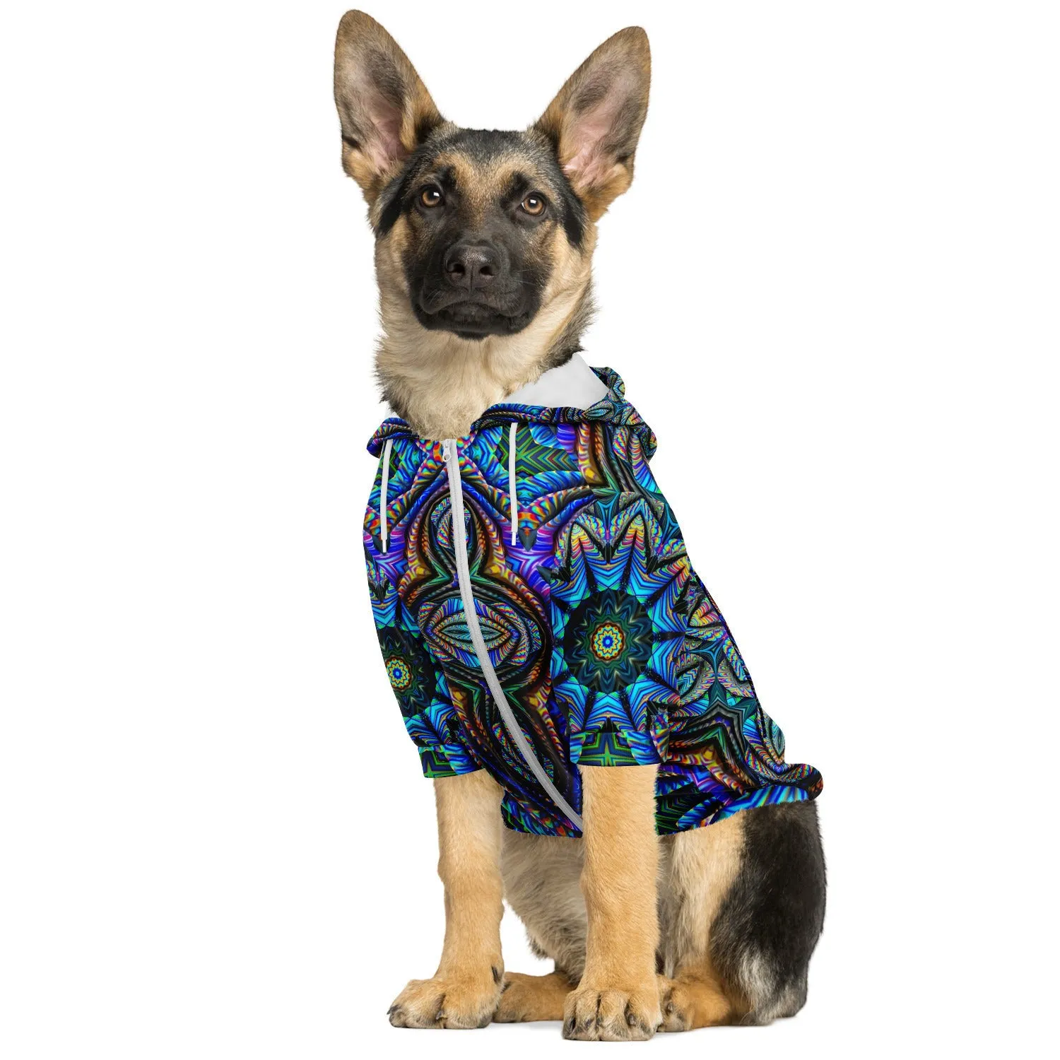 PSYCHEDELIC SYMPHONY | DOG HOODIE | IMRAN