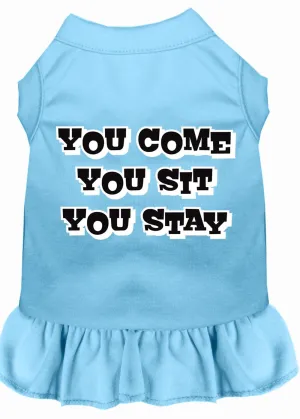 You Come, You Sit, You Stay Screen Print Dress Baby Blue 4x (22)