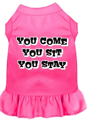 You Come, You Sit, You Stay Screen Print Dress Bright Pink Xxl (18)