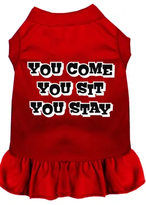 You Come, You Sit, You Stay Screen Print Dress Red Lg (14)